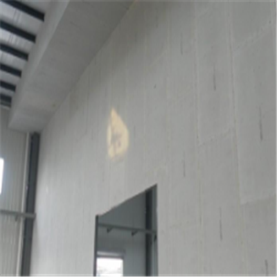 酒泉宁波ALC板|EPS加气板隔墙与混凝土整浇联接的实验研讨